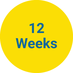 12 Weeks